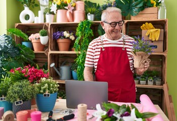 Sticker - Middle age grey-haired man florist using laptop holding plant at flower shop