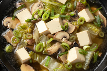 Poster - Cabbage Tofu Soup with mushrooms and spring onion.