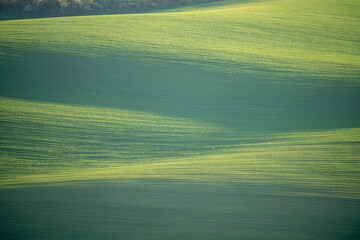 Sticker - Agricultural fields in South Moravia