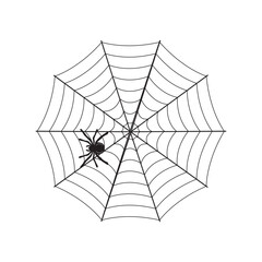 cobweb icon