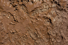 Background Image Texture Of Wet Clay