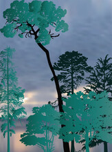 High Pines Dark Silhouettes Group On Dark Sunset Background