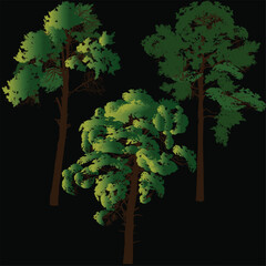 Wall Mural - three green pine trees set on black