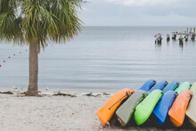 Kayaks On A Beach With A Palm Tree And Pelicans On Posts In The Background On A Cloudy Day.