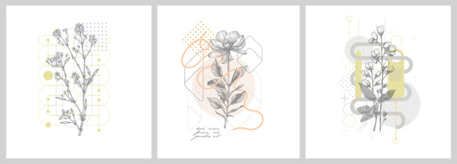 foliage line art drawing with geometric shape. hand drawn flowers and geometric art. set of vector i