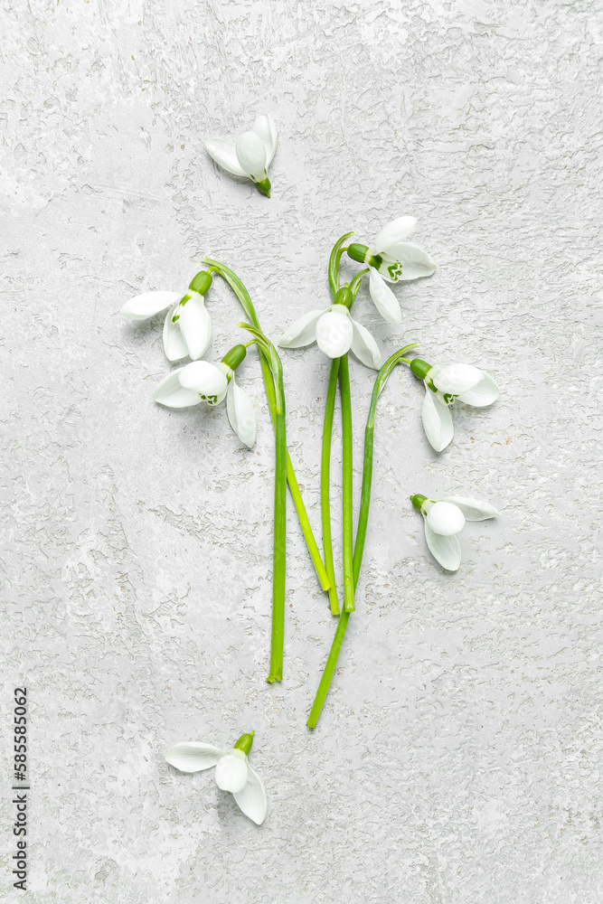 Beautiful snowdrops on grey grunge background