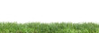 Green grass on transparent background 3d rendering png