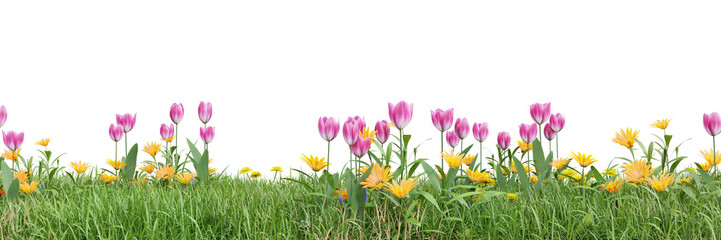 Wall Mural - Green grass and flower fields on transparent background 3d rendering png