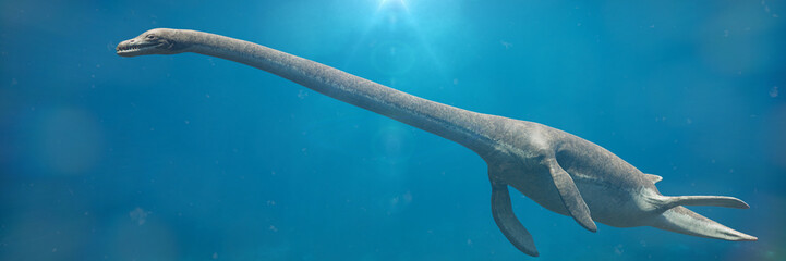 Wall Mural - Elasmosaurus, majestic plesiosaur from the Late Cretaceous period, 3d science illustration banner
