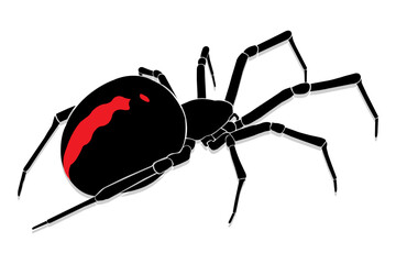spider vector illustration on a transparent  background