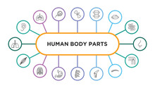 Human Body Parts Outline Icons With Infographic Template. Thin Line Icons Such As Ear Lobe Side View, Broken Bone, Spine Bone, Big Lips, E Side View, Human Muscle, Human Ribs, Stoh With Liquids,