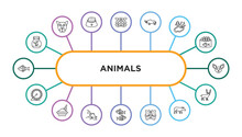 Animals Outline Icons With Infographic Template. Thin Line Icons Such As Terrarium, Buttefly, Coelodonta, Pond, Chihuahua, Hamster Ball, Litter Box, Fishes In The Ocean, Japan Koi Fish, Insect,