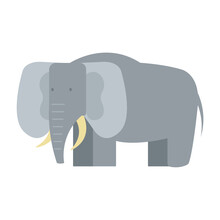 Elephant Icon In Gray Color