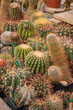 © Maksim Shebeko - traditional wooden greenhouse for cacti and succulents