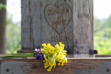 Bouquet Of Yellow Flowers Lying On Wooden Bench