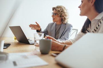 Wall Mural - Mature business woman discussing a project with her team in an office