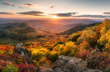 Canvas Print - sunset landscape with high peaks and valley with autumn spruce forest under vibrant colorful evening