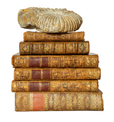 Wall Mural - Pile of antique books with a leather cover and golden ornaments, with an ammonite on the top, on isolated on white background