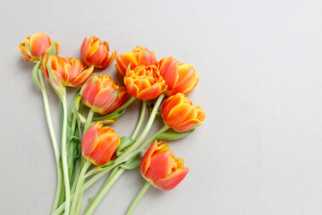 Poster - Orange tulip flowers on paper background, copy space.