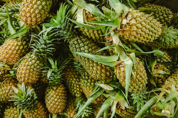 A vibrant green pineapples from a Sri Lankan market, fresh and ready for healthy eating.