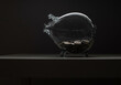 Skarbonka świnka, przeźroczysta, szklana z monetami 5 zł