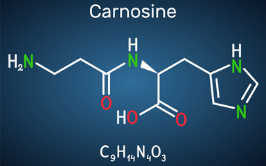 Sticker - Carnosine dipeptide molecule. It is anticonvulsant, antioxidant, antineoplastic agent, human metabolite. Structural chemical formula on the dark blue background.