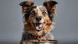 Pampered Pooch: Delighted Dog Enjoying a Hearty Meal. Smiling happy dog standing in front of bowl with dog food on plain background. Generative AI