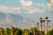 Palm trees and wind turbiness on the mountain in Palm Springs, Coachella Valley, Califormia