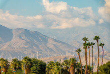 Palm Trees And Wind Turbiness On The Mountain In Palm Springs, Coachella Valley, Califormia