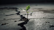 © IBEX.Media - Overcoming obstacles concept, with small plant growing out from unhospitable land, Generative AI illustration