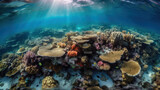 Fototapeta Do akwarium - Vue sous-marine de la grande barrière de corail en Australie