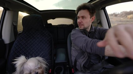 Wall Mural - Man driving car offroad at sunny day interior view, shih tzu dog on second seat