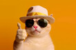 Portrait of a beautiful cat in black sunglasses and a straw hat, holding a thumb up as a sign of excellent work or pointing a finger at the camera on an isolated orange background. Generative AI.