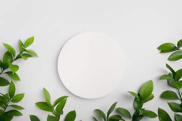 Empty round podium and green leaves on light grey background top view. Pedestal and fresh natural branches for cosmetic marketing. Eco product presentation or sale mockup. Top view. Minimal flat lay.