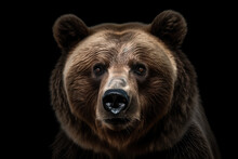 A Grizzly Bear Portrait Isolated On Black Background. Generative AI
