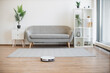 © sofiko14 - Advanced robotic vacuum cleaner hoovering airy living room in cozy apartment during sunny day. Efficient household appliance keeping hard floor and soft carpet tidy via remote control or phone app.
