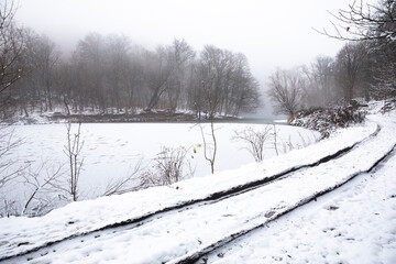 Wall Mural - winter landscape