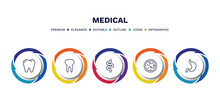 Set Of Medical Thin Line Icons. Medical Outline Icons With Infographic Template. Linear Icons Such As Premolar, Teeth, Intestine, Bacteria, Stoh Vector.