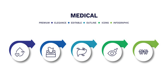 Wall Mural - set of medical thin line icons. medical outline icons with infographic template. linear icons such as blood pressure, tissue paper, liver, eye drops, braces vector.