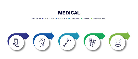 Wall Mural - set of medical thin line icons. medical outline icons with infographic template. linear icons such as transfusion, caries, walking stick, crutches, spinal column vector.