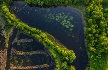 Wall Mural - Aerial top view of country road in green summer forest and blue lake. Rural landscape