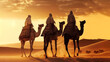 landscape. Egypt pyramids. Pyramids of Egypt and a bedouin with Camel caravan. sunset panorama