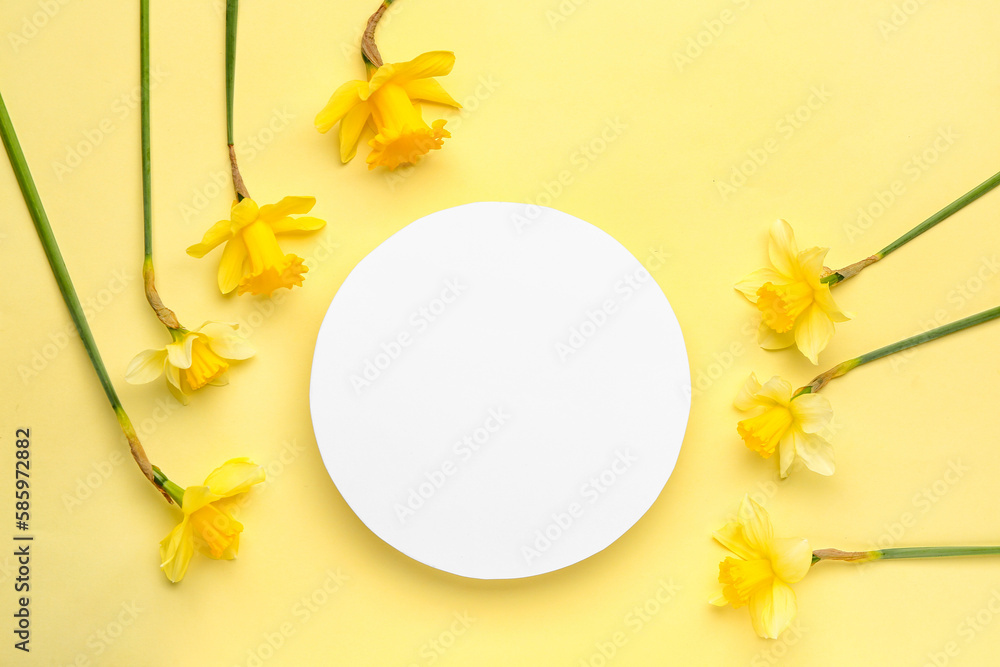 Beautiful narcissus and round blank card on color background