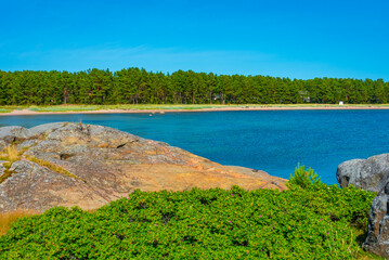 Wall Mural - Natural beach near Hanko in Finland