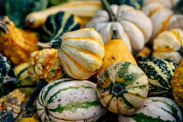 Closeup of bunch of pumpkins