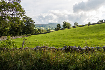 Wall Mural - Pasture fenced with a stone wall against the background of forest and hills under a cloudy sky