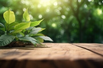 Canvas Print - vibrant green plant on a rustic wooden table in natural light created with Generative AI technology