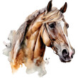 horse head watercolor isolated on white background