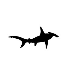 Wall Mural - Hammerhead shark  vector 7