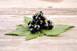 Black currant on wooden background.
